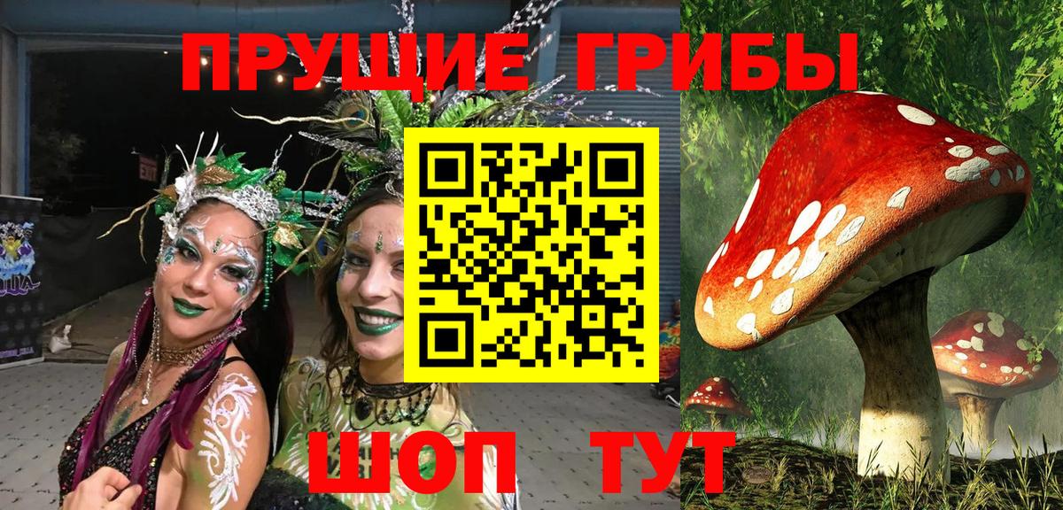 Псилоцибиновые грибы прущие грибы Советск